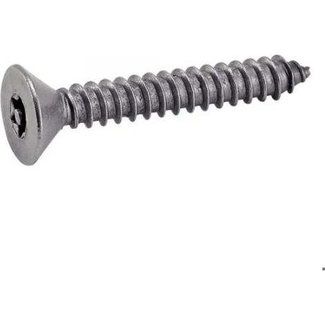 Schraube acton torx téton inviolable Edelstahl 4.2x32 mm