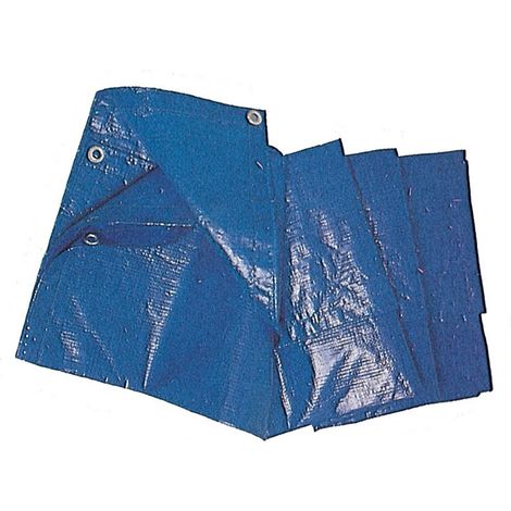 C TELO OCCHIELLATO PE BLU 8X10M 85GR (1/2)