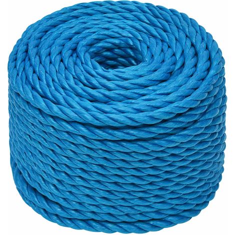 Maison Exclusive - Arbeitsseil Blau 10 mm 50 m Polypropylen