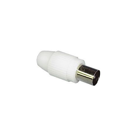 Koaxialstecker