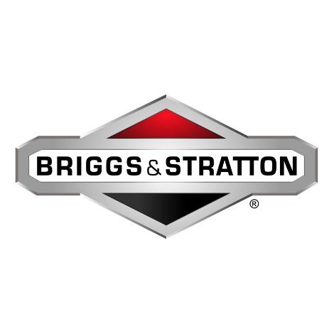 ORIGINAL BRIGGS & STRATTON muelle cortacésped 165X155MA