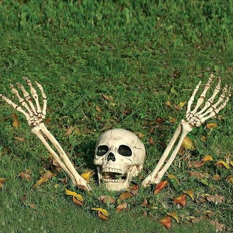 Deco Halloween Crâne et Bras de Squelette,n. 3 pcs. Réalistes de Squelette Décorations halloween pour Bnc DECORATION DE FETE MURALE (1/5)