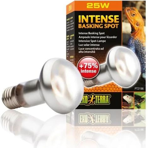 Heizlampe Exo Terra 25W Glas 6.5x6.5x10 cm