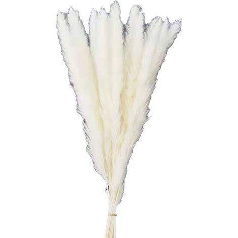 30 petites fleurs séchées blanches en roseau, idéales pour décorer un bouquet d'immortelles et d'herbes de la pampa. Décorations de Noël à faire soi-même. (1/5)