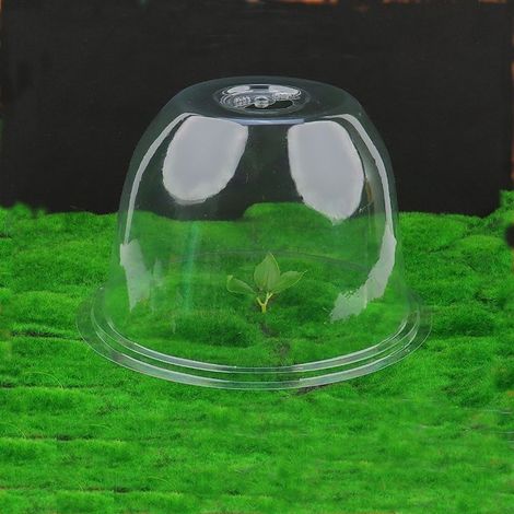 Bâche de protection respirante en plastique horticole pour la plantation, rouleau de culture à température constante pour semis, bâche de protection pour l'entretien des semis, conservant l'humidité e (1/5)