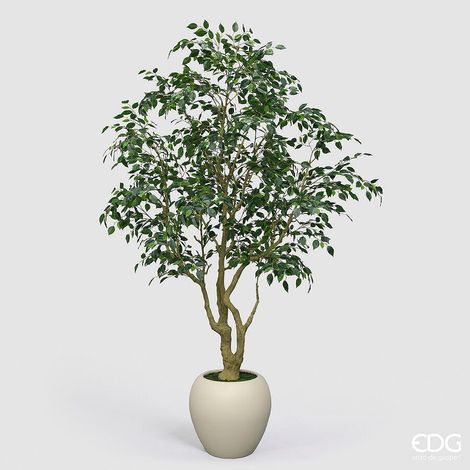 EDG Enzo De Gasperi Ficus Beniamino Vogue con Vaso Pianta Artificiale H 240 Cm Verde (1/5)