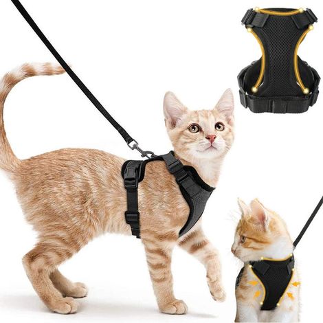 Harnais pour chat avec laisse - Laisse réfléchissante réglable - Tour de cou 24,1 cm - 29,2 cm - Poitrine 34,3 cm - 43,9 cm - XS - Noir (1/5)