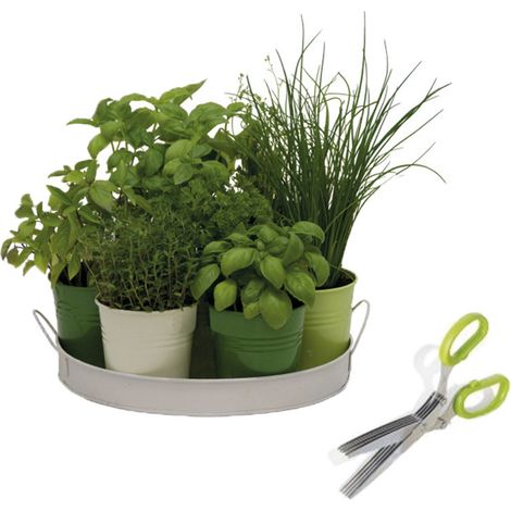 Kit de culture d'herbes aromatiques en cuisine – 7 pots en zinc – Ciseaux pour ciselage précis – Semis facile et rapide – Florex