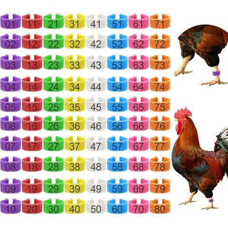 80 bagues patte poulet 0.63 pouce, 8 teintes, anneaux identification volaille numérotés 01-80, marques pattes canard, poules bantam, colorées, lot mixte (1/5)