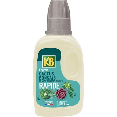 KB Engrais Rapide Cactus Bonsaï Succulentes Et Autres Plantes Grasses 250ml (1/3)