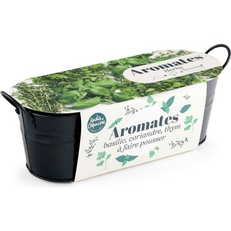 Jardinière zinc noir 30 cm - Aromates (1/5)
