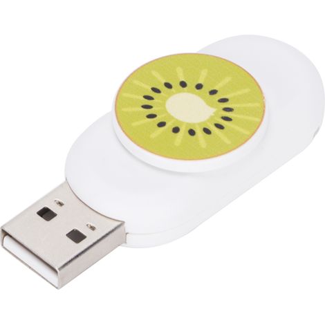 Kiwi 16 GB USB-Stick – Tragbar, feuchtigkeitsbeständig, Plug & Play, originelles und langlebiges Design (1/5)