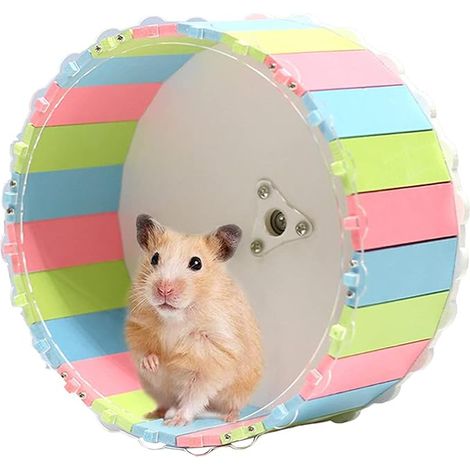 Roue De Course Hamster Silencieuse Antidérapant, Jouet De Roue De Course Animaux Domestiques, Hamster, Hérisson, Petit Animal Domestique (15cm) (1/5)