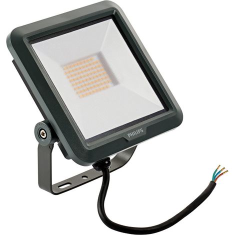 Philips Projecteur Ledinaire BVP105 LED25/840 PSU VWB100 27 W 4 000 K (384128)
