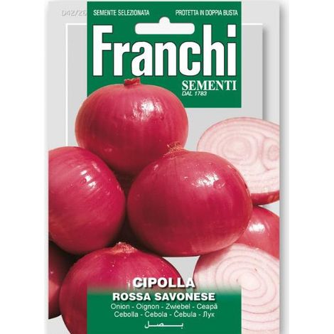 SEMI DI CIPOLLA ROSSA SAVONESE FRANCHI SEMENTI