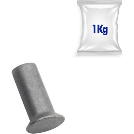 Lot de 1kg de rivets fraisées tête plate Ø 5,2 x14mm