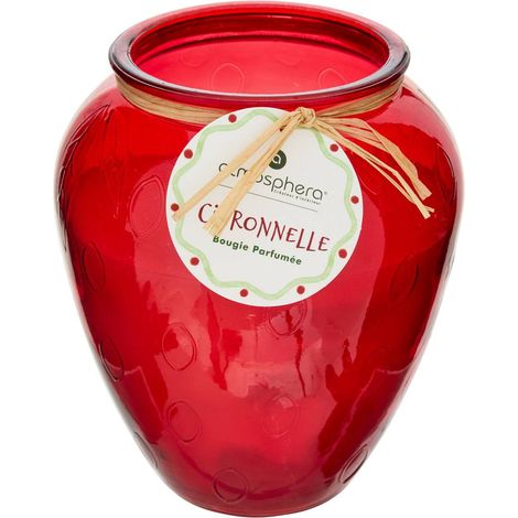 Candela profumata alla citronella fruttata 550g - Atmosphera créateur d'intérieur (1/2)