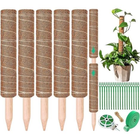 5 supporti per piante da 42 cm, supporti per piante da interno, supporti per piante rampicanti da giardino (1/4)