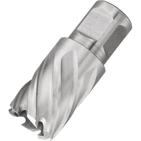 Krino fresa a carotare diametro 20 serie corta 30 mm attacco WELDON per metallo acciaio (1/2)