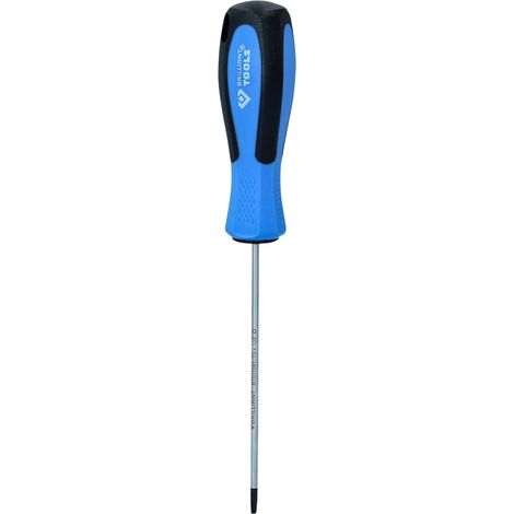 BRILLIANT TOOLS Schraubendreher TORX T9 x 100 mm - BT031041 (1/5)