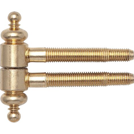 SFS Einbohrband mit Zierkopf, ø 16 mm, Bandhöhe 63 mm, Stahl vermessingt (1/3)