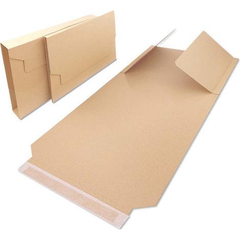 Kartonverpackung 310x250x20-70 mm BV 4 x100 Stück