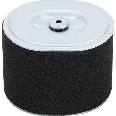 Filtre à Air Gx390 Filtre à Air Afze18 Filtre à Air Af Ze28 Moteur Gx390 Pièces de Nettoyeur Haute Pression Gx390 294, Accessoire de Remplacement de Filtre à Air pour Tondeuse à Gazon pour Moteur Hond (1/4)