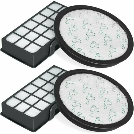 Pack of 2 replacement HEPA filters, compatible with Rowenta Silence Force Cyclonic RO7647EA-RO7681EA (ZR903701) (1/4)