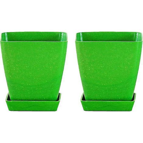2 pots pour plantes succulentes