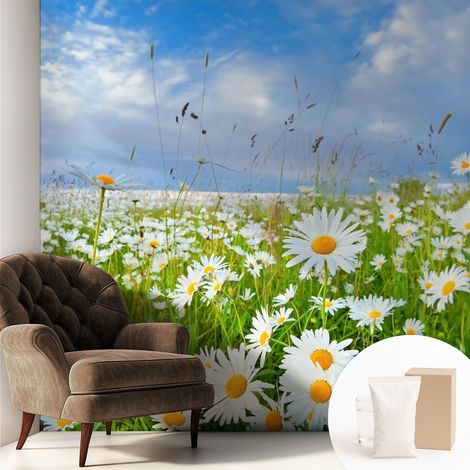 Tapete Vliestapete mit Kleber - Fototapete mit Motiv - Wandtapete modern - Wandgestaltung Sommerwiese 250x250 cm (1/5)