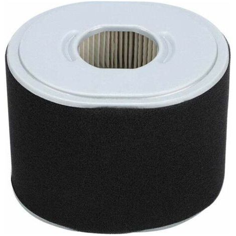 Filtre de Filtre à air de Tondeuse Compatible avec Honda GX390 GX340 11 13 HP (1/4)