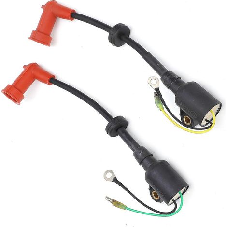 Bobine d'allumage de rechange pour moteur hors-bord marin YMH 2 temps 15 CV (1/4)