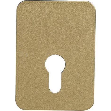 Plaque Renfort Cylindre Or Protection Blindée Pour Cylindre Européen - Générique