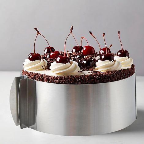 Cercle à Pâtisserie Réglable 6-12 Pouces en Acier Inoxydable avec Échelle Visuelle pour Tarte Gâteau Cheesecake Anneau à Tarte, 8cm Hauteur (1/5)