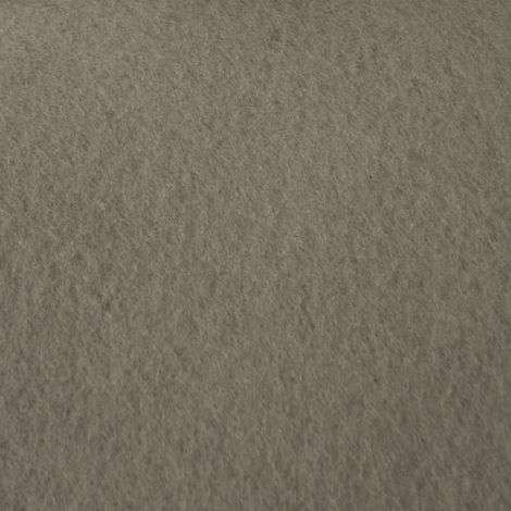 Moquette - Stand Event - Taupe - 2 m x 10 m