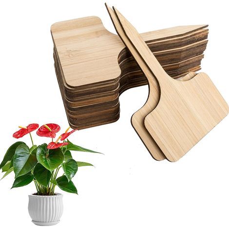 40 Pièces Etiquette Jardin Exterieur, Pancarte Potager, Semis Jardin de Jardinage, Imperméables Etiquettes Plantes, Étiquettes en Bois, Marqueurs De Type T, pour Graines Pot Herbes Fleurs Légumes (1/5)