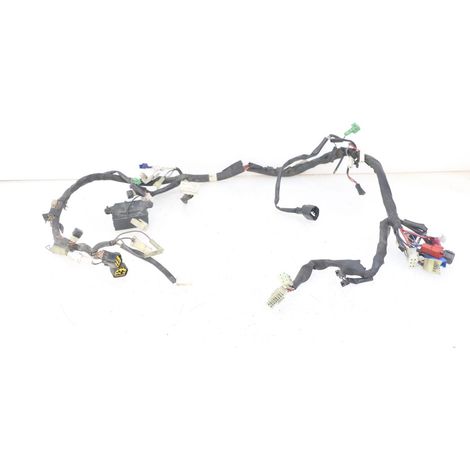 [PRODUIT D'OCCASION] FAISCEAU YAMAHA FZS FAZER 600 2001 - 2003 (1/5)