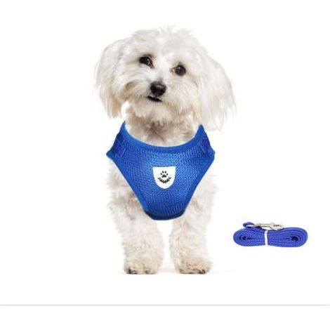 Hundegeschirr mit reflektierender Leine, verstellbar, atmungsaktiv, Blau XL