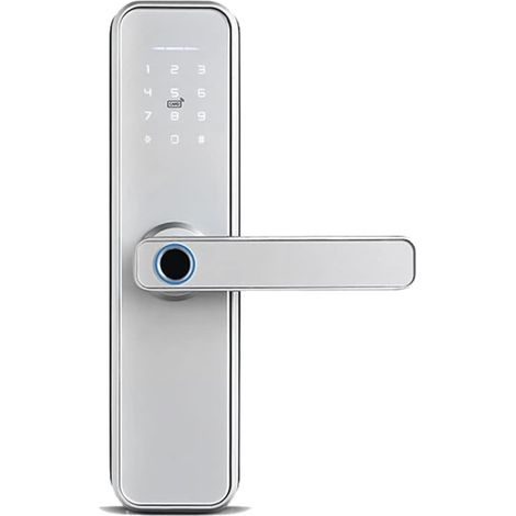 Serrure de porte intelligente Tuya biométrique empreinte digitale intelligente porte casier hôtel sans clé entrée maison poignée App déverrouiller numérique Intelligent serrure ( Color : 180 5050 , Si (1/5)