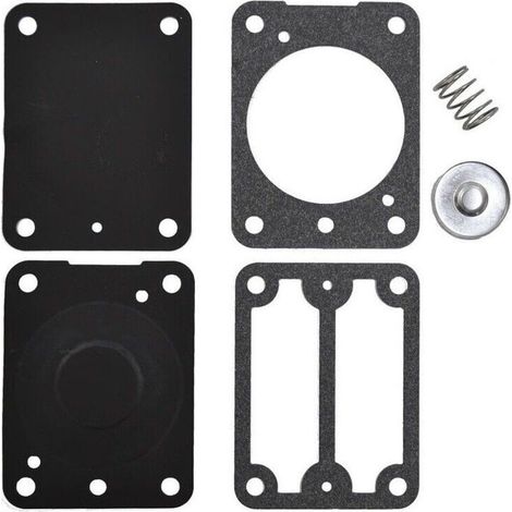 Kit de pompe à carburant compatible avec Briggs & Stratton 693502.