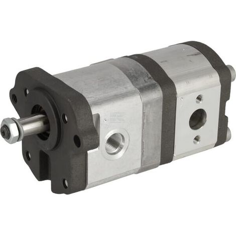 Pompe hydraulique LANDINI 6672119A1 (1/2)
