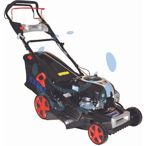 RASAERBA A SCOPPIO B&S CC.161