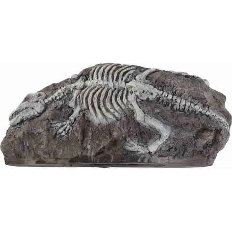 Décoration pour aquarium : vestiges de dinosaures en résine, cachette rocheuse pour reptiles. (1/5)