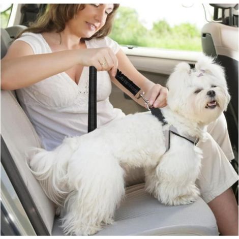 2 Pièces Ceinture Chien Voiture, Ceinture de sécurité pour Chien avec Longueur réglable, Harnais Voiture avec Absorption (1/4)