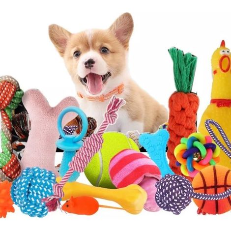 Ensemble de jouets pour chiens, 10 pièces, jouets d'entraînement vocal pour animaux de compagnie (1/5)