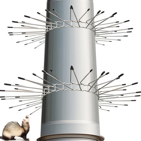 Ceinture de défense pour chat, 2 courroie de défense martelée en acier galvanisé pour la maison, diamètre 100 mm à Ø 130 mm, anti-martres, raton laveur, martre (1/5)