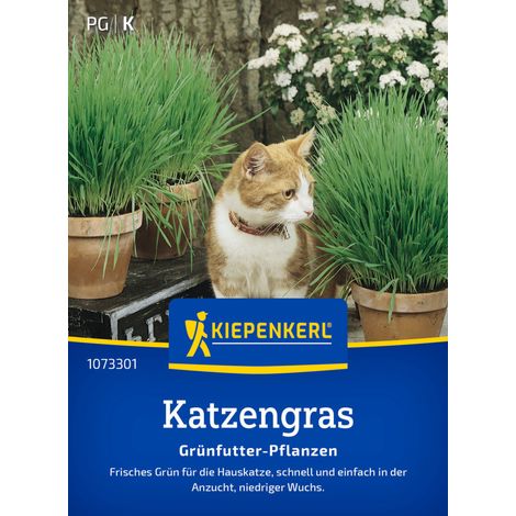 Kiepenkerl Saatgut Katzengras Frischgrün Mischung für ca. 1 m² (1/2)