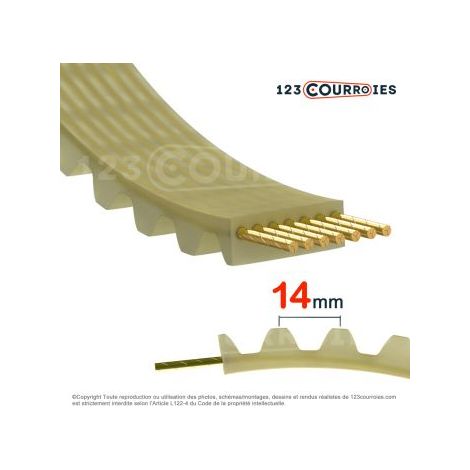 Courroie simple dentée super torque 1568-S14M60-PUK