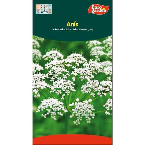 FPLUS semillas fito aromaticas anis 06761 , semillas fito aromaticas anis 06761
