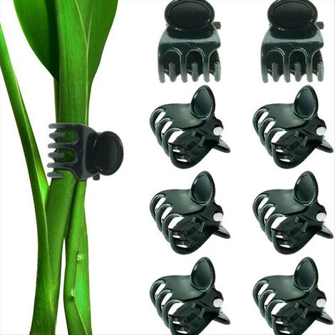 Clips de fixation pour plantes de jardin de grande taille, support pour tiges d'orchidées et autres plantes grimpantes (1/3)